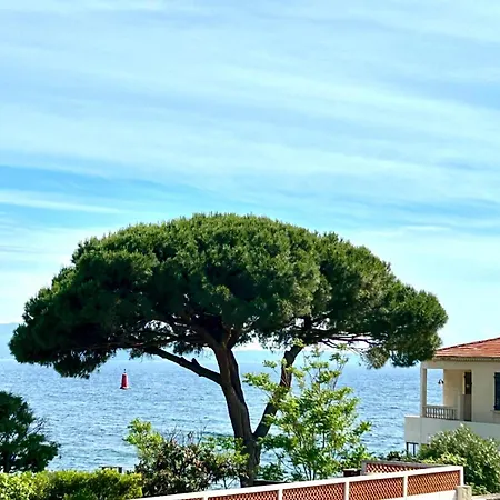 Martini Ajaccio